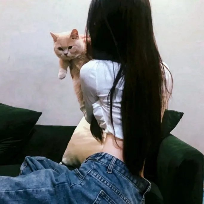 一箭双雕
